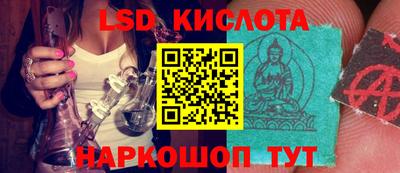 a pvp Ставрополь